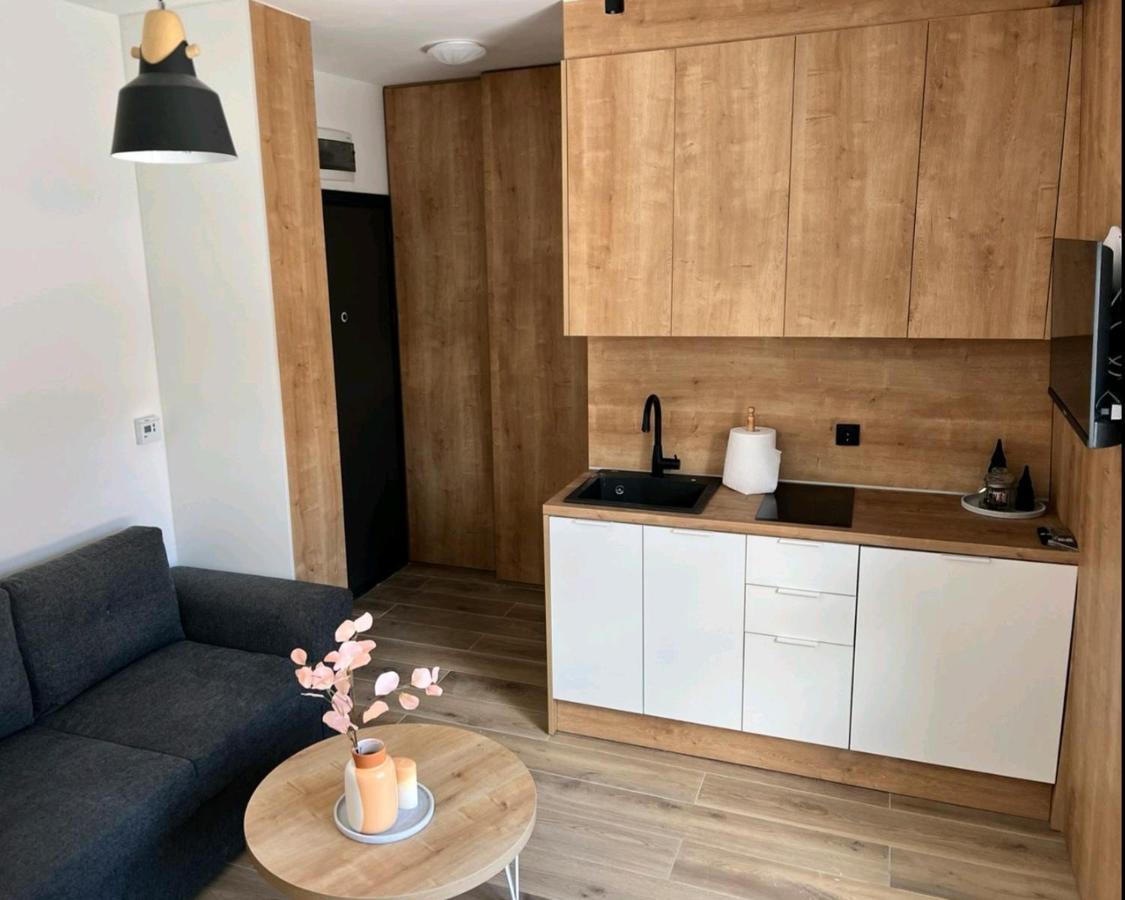 Apartman N&V, Villa Mont Jahorina Luaran gambar